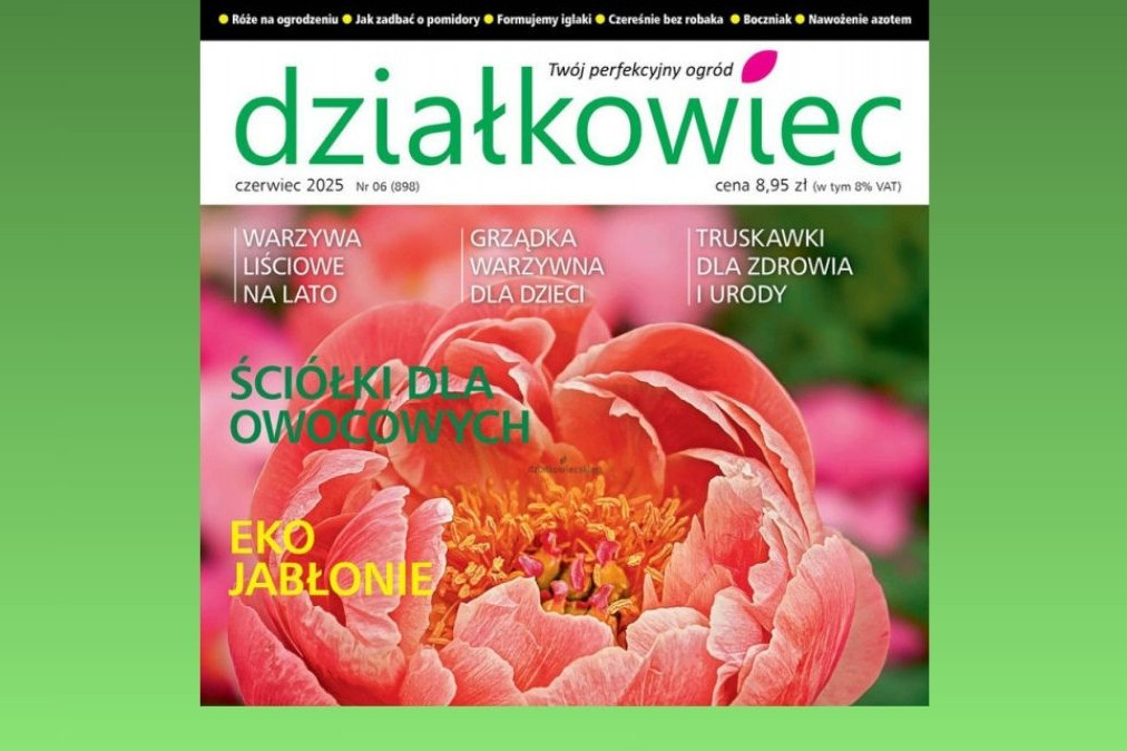 "Działkowiec" zanotował najmniejszy spadek sprzedaży wśród miesięczników ogrodniczych