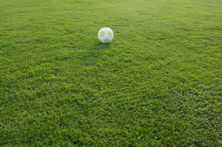 Kanał Golf Zone będzie pokazywał skróty meczów lig piłkarskich kobiet
