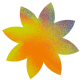 kwiat_1