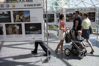 (fot. Piotr Król/Press)