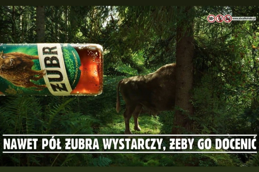 Żubr uruchamia kampanię telewizyjną. Powstał nowy spot reklamowy